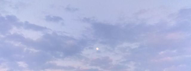 マリンさんの壁紙画像