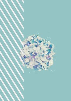  #異世界逆ハー計画 