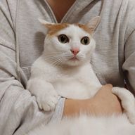 ひなたぼっこさんのアイコン画像