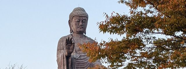 ？？？さんの壁紙画像