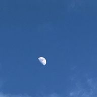 やややさんのアイコン画像