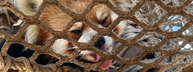  冰空 雷  さんの壁紙画像