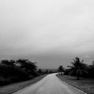 Tnnnさんのアイコン画像