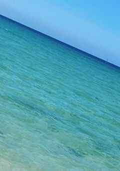 ツンデレ兄弟は大変そうですね（他人事）