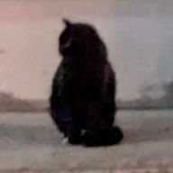 LaLaさんのアイコン画像