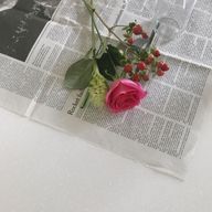 A°_s；さんのアイコン画像