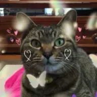 Rei໒꒱ (腐♀)さんのアイコン画像