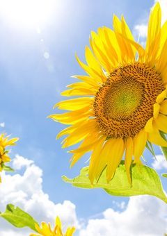 僕はずっと君だけを見てきた