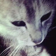 hidekoさんのアイコン画像