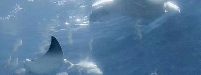 √　2　．さんの壁紙画像