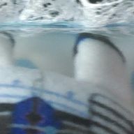 腐さんのアイコン画像