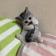 いっち～☆さんのアイコン画像