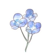 ココ𓆩✧𓆪BL大好きさんのアイコン画像