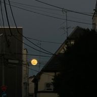 Mnさんのアイコン画像