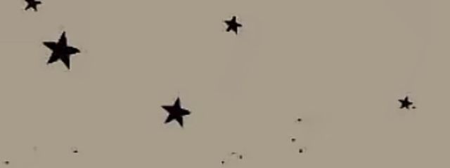 りさどぬ ⟡.·* # シロギツネさんの壁紙画像