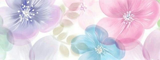 白虎‎🤍🐯さんの壁紙画像