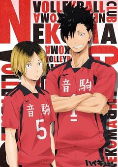 音駒のマネ、白布君に恋してます