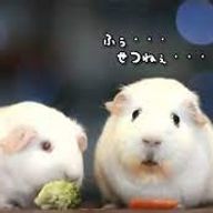 👶❤＠さんのアイコン画像