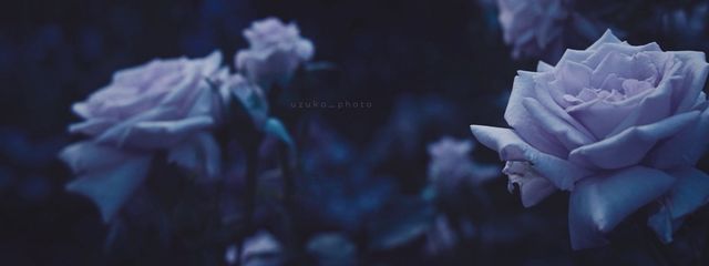 湊海@低浮さんの壁紙画像