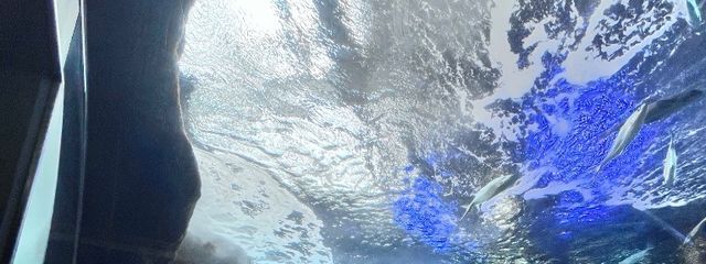 ひすいさんの壁紙画像