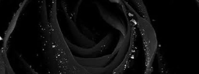 𝓡𝓮𝓷🖤🖤さんの壁紙画像