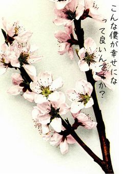 こんな僕が幸せになって良いんですか？