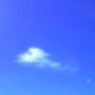 虎咲ーKOSAKUさんのアイコン画像