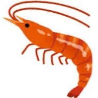 Husen🧡🦐さんのアイコン画像