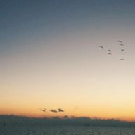 未菜さんのアイコン画像