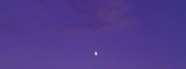 夢無さんの壁紙画像