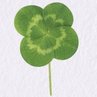 kirarinnさんのアイコン画像