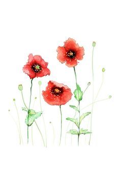 ポピーの花に想いを寄せて