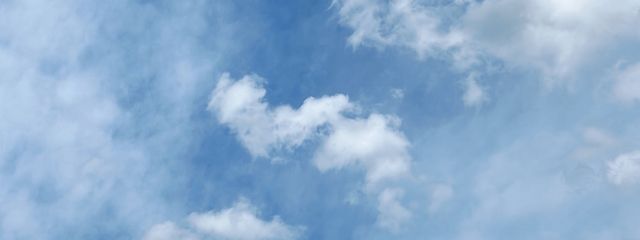 こぅさんの壁紙画像