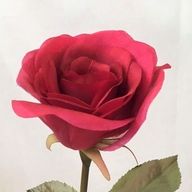 ちなさんのアイコン画像