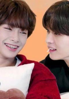 僕の可愛い弟はお狐様の子【Stray Kids】