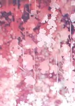 「ボカロ大好き組」