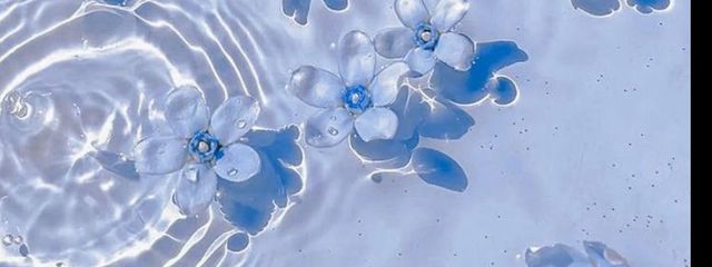 ゆゆさんの壁紙画像