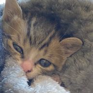 はるさんのアイコン画像