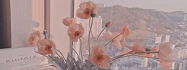 chocolateさんの壁紙画像