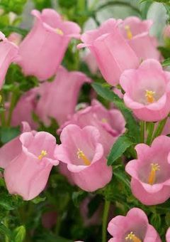 短編集𖤐  ̖́-‬