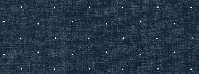 ⠀⠀⠀⠀⠀⠀有栖⠀さんの壁紙画像