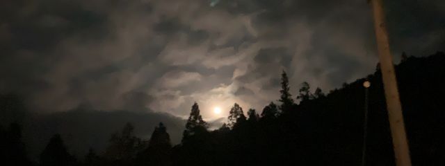 青斗さんの壁紙画像