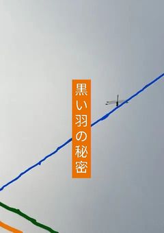 黒い羽の秘密🤫