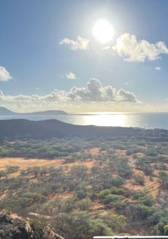 Fragmente der Verbindung 