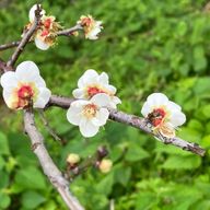 からさんのアイコン画像