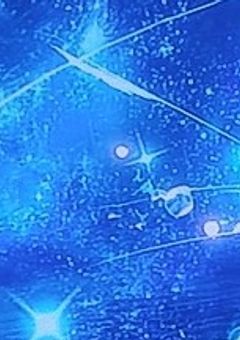 カゲロウ、嫌われたのでどうでもよくなりましたｗ［🌈🕒️］