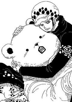 ハートの海賊団は過保護でした