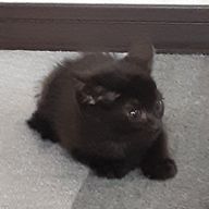 SixTONESさんのアイコン画像