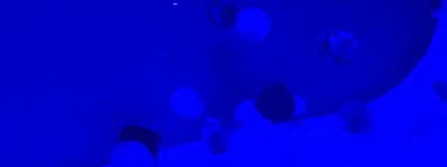 【自称】天才モモちゃん🎼🌸　　※引退さんの壁紙画像