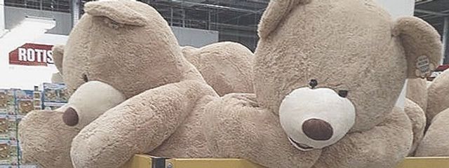 もちさんの壁紙画像